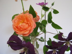 rose and clematis 2